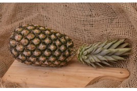 Abacaxi