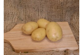 Batata