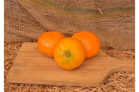 Tangerina