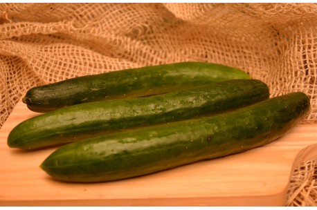 Pepino japonês
